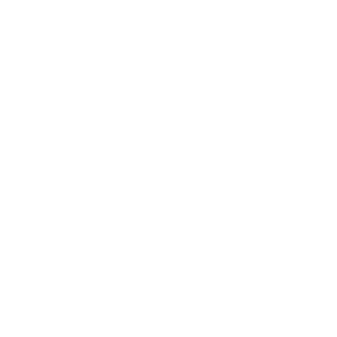 Icon Logo